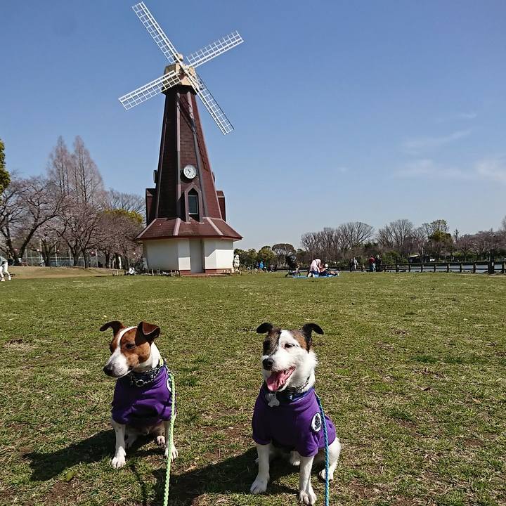 324d6a60 8db0 4ee4 ada2 61b595650bfc 1584755204148