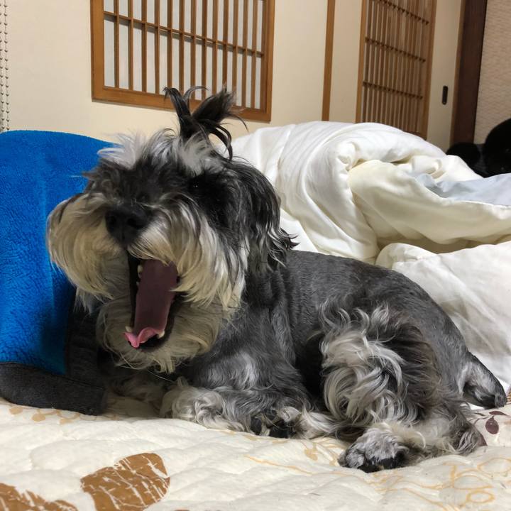 324da25a aec2 4317 ac8a 59acdf797bd8 1528727824138