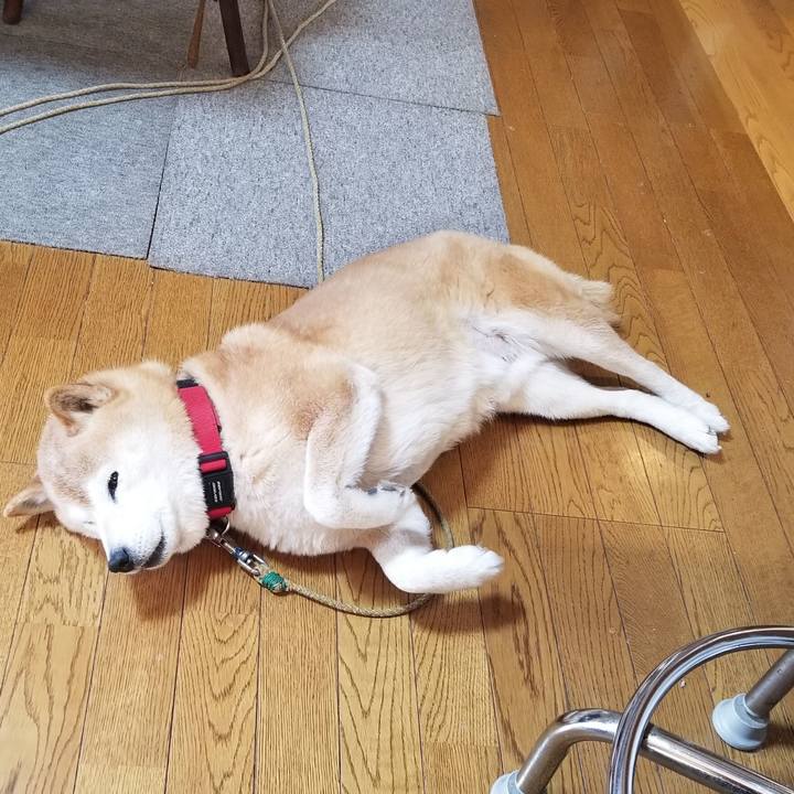 324e3b9c 10bc 4bc0 bbb1 21864f70344d 1710113522887