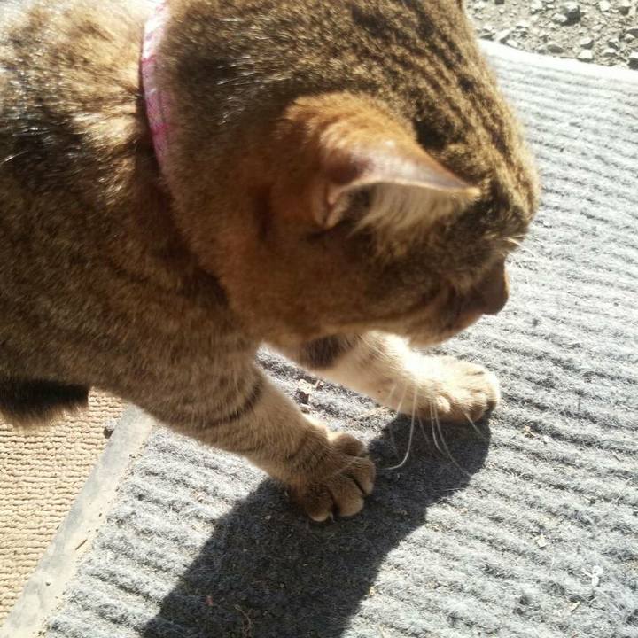 324e6495 bd26 4e66 a338 ccec8d71925b 1513676979777