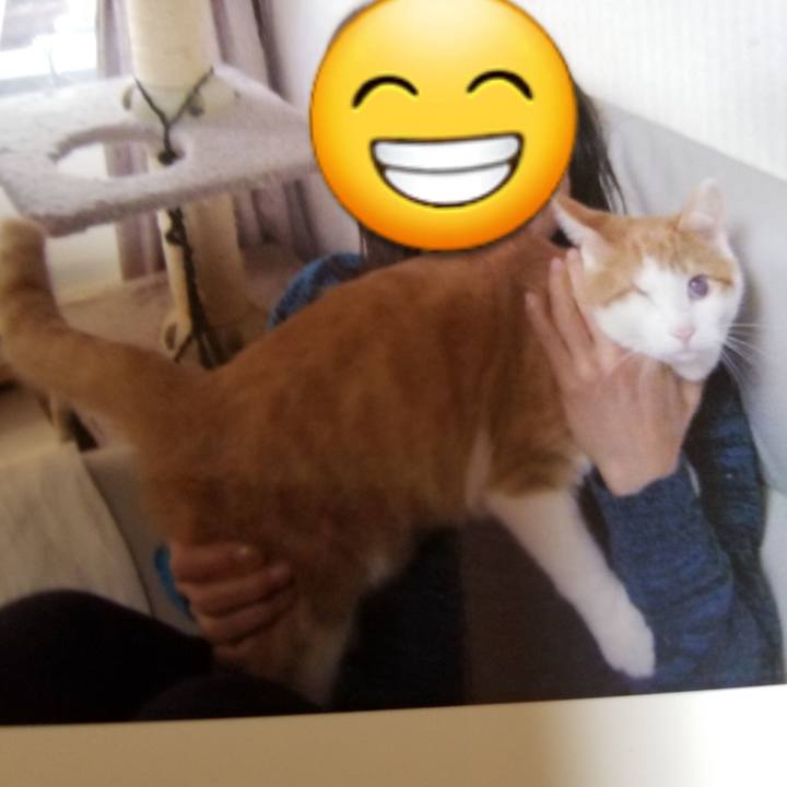 324eafe5 ad89 4d76 87a1 8ade6e934572 1540644202776