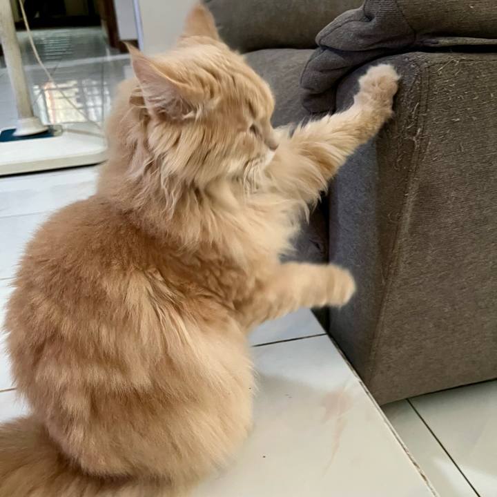 324ebd4d d60e 4032 9288 e58d0a65bcdd 1764398205030