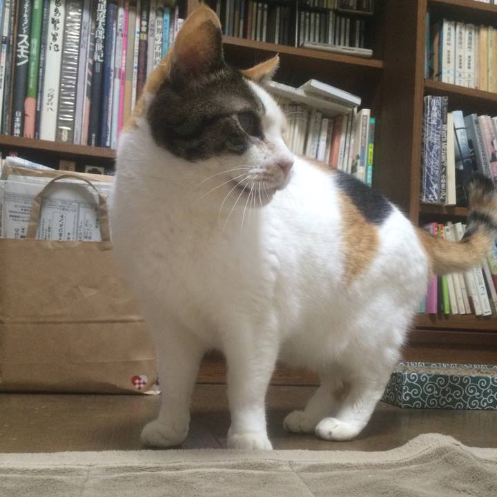 324ef825 ebf4 48f1 bc54 30298bfb43e7 1545655431143