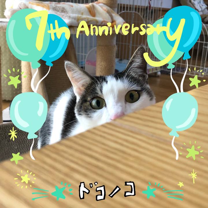 324f317e 42fc 414f 9f76 eaa2204e3209 1685970805316