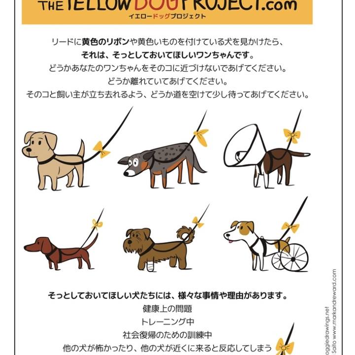 324fd6f1 3c2f 4eaf 88e2 f803708bfbd7 1535639460904