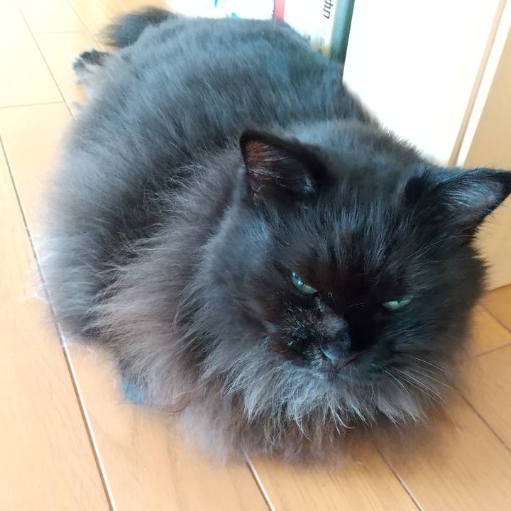 324fe35b 5162 4b06 b7a6 c30cd76ad9ce 1665719698746