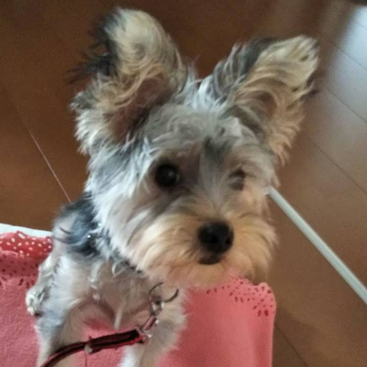 325013e6 2fdb 4c8f 977a 9cc9ef83af40 1537959318227