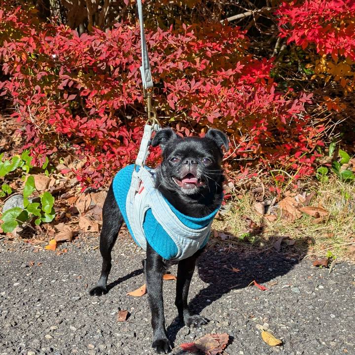 32503b55 1ad9 4b26 b3b8 890877d69da0 1764559297563