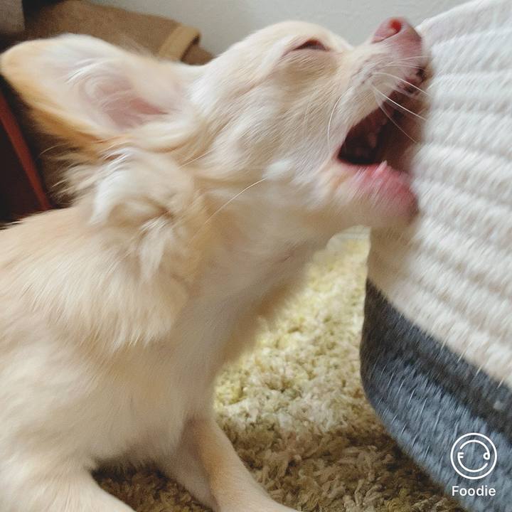 325062c5 e1fe 4218 ba37 cf1fe18f64ba 1600403612339