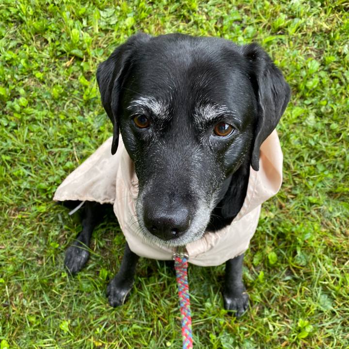 32506679 40d7 44ff af74 74c6c6c84da1 1631180719942