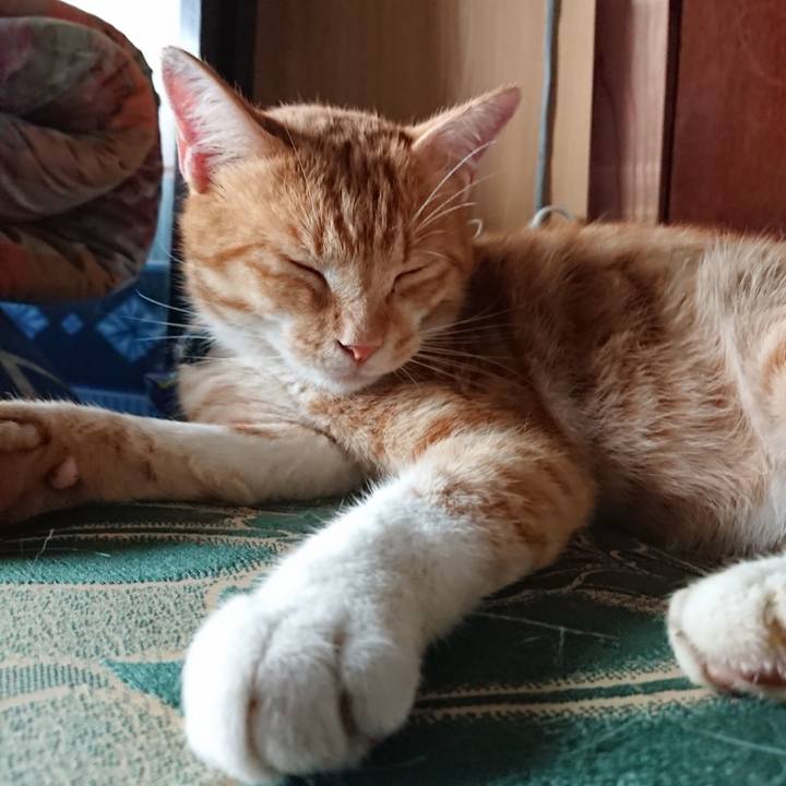 325094a7 f179 4b7e bf08 d93b714c9365 1566519260087