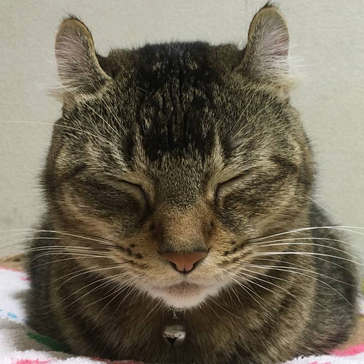 3250eacc ea2c 4bc1 a85b e625ebbd05fc 1508857138638