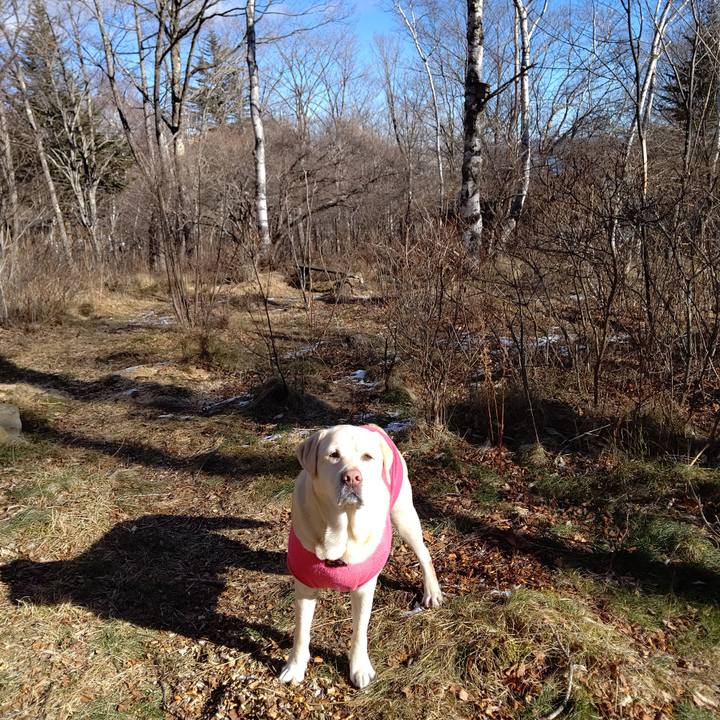 325101d2 023f 4e60 8276 18c0e6a71d5b 1670399241886