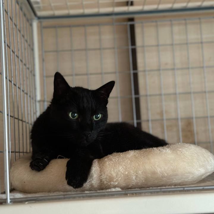 32516b63 a055 4ed4 a82e e008f2881c69 1686449451943