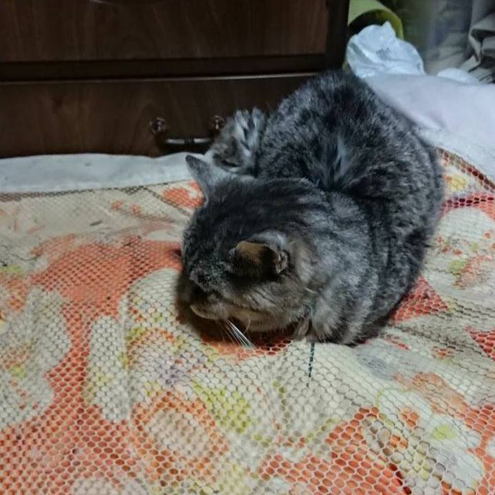 32516f6d 485f 4581 a59b 7b47a80eceb9 1573043098595