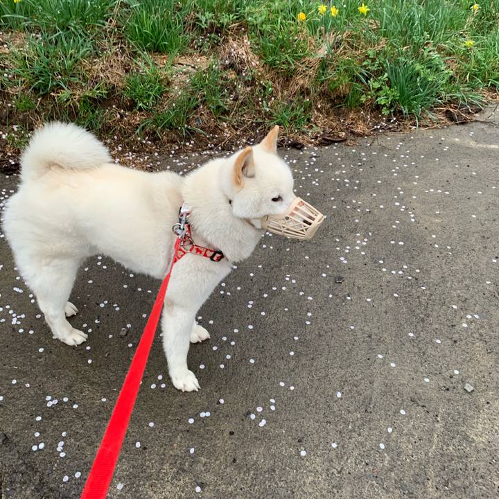 3251785c af3a 4062 8635 d59361786d0c 1557177841161