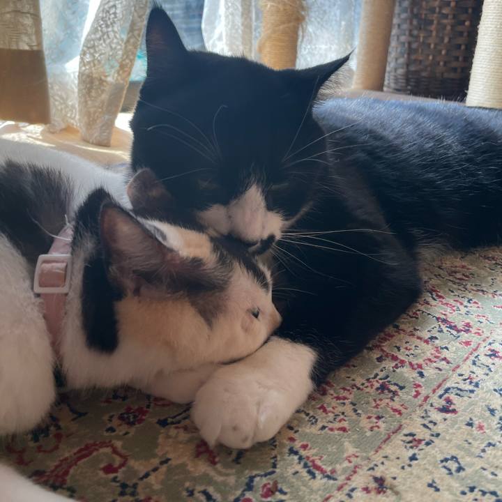 32517b50 f025 45cc 83d0 a5d27867b8e7 1756859108608