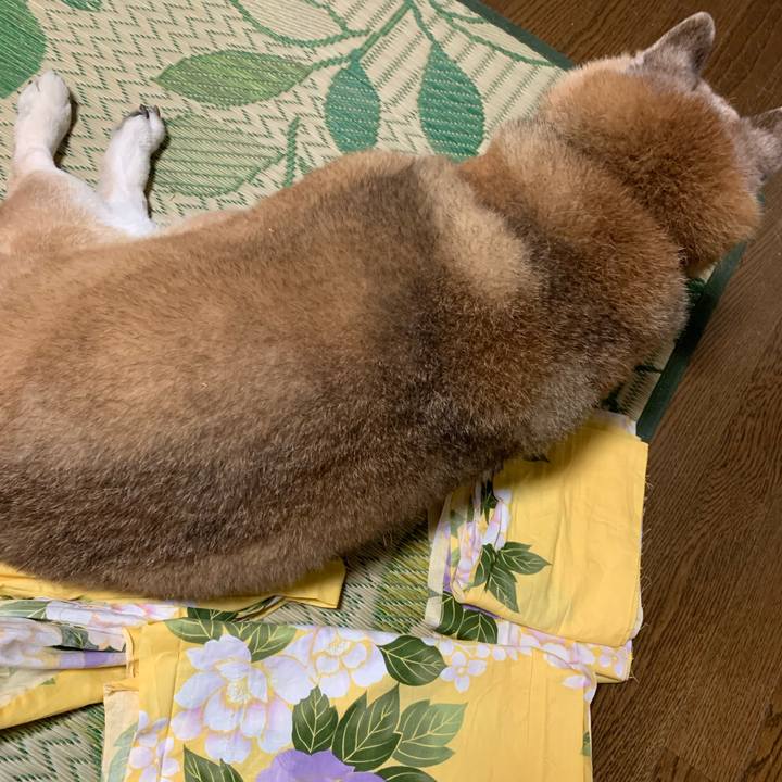 3251a723 57eb 499a bccf 23338d36f4aa 1627046069557