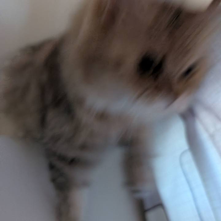 3251abdf 7846 498d 90ce 2f05cca3d0db 1753052116579