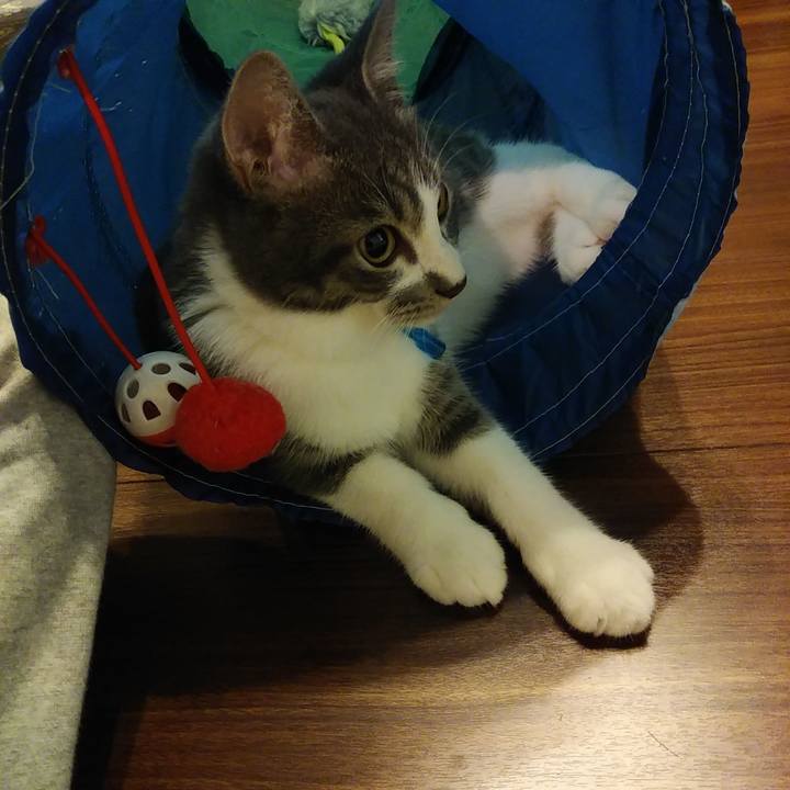 3251b0ab 11f8 400e b6ae e5058ffe5d1f 1569599095539