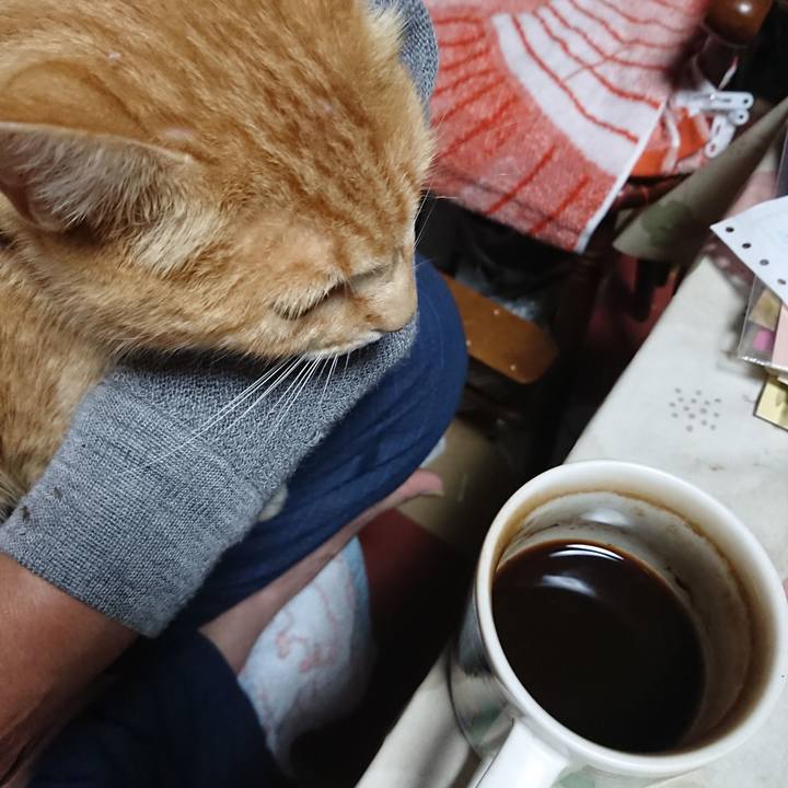 3251d7bb 9034 4f19 8c8f 389634bf72e6 1592856089005