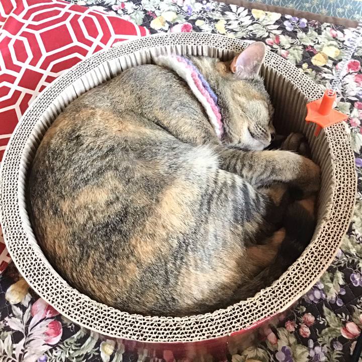 3251dd43 3d12 454d 907e 2cf3c961a502 1620260608525