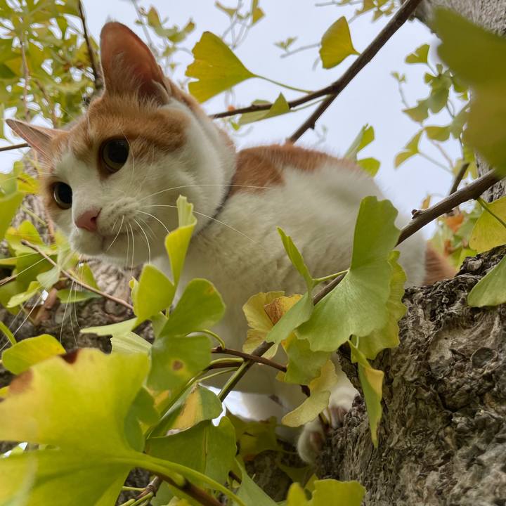 325210e7 b7f6 4c0c 84d9 443b68948b35 1667514894136