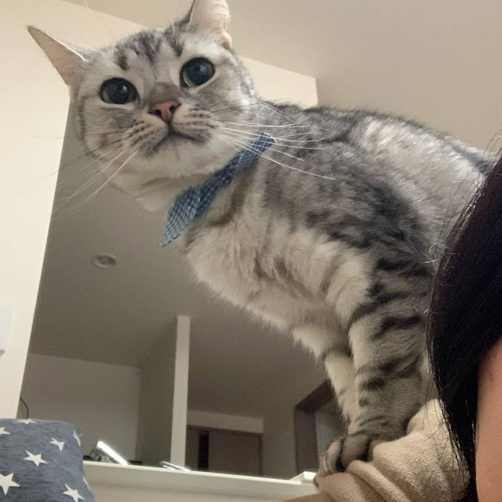 32522d32 de96 4842 8a5b cafbf55510c9 1572673482703