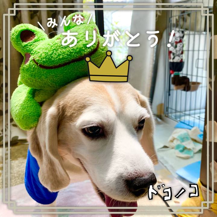 32523c3c 6112 4e7b 9088 819bbda8f313 1622866606781