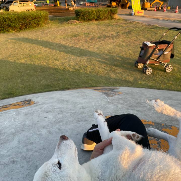 32524b63 a022 4ef8 b52f 83dedd64e0b8 1667979402162