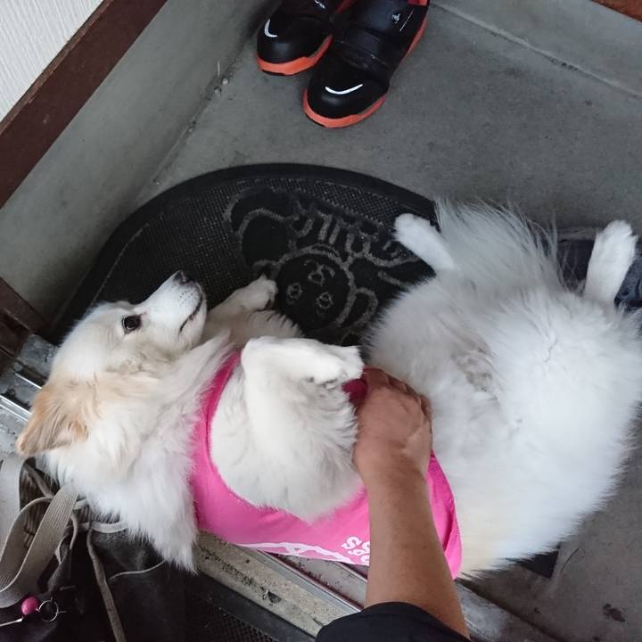 32525c71 e31a 4c1a aea2 5da9a50ddd08 1528543144584