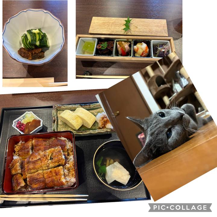 3252768d 108d 4014 bc56 c65e62b6cbd1 1753944937207