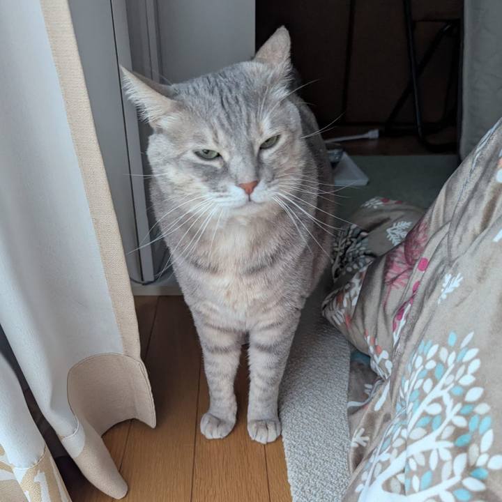 32528058 79cf 4001 bb4e a79b4537e06e 1738543890523