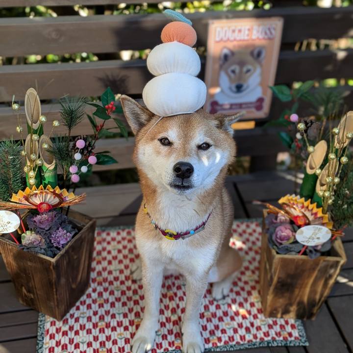 3252869c 83f2 4f26 9f54 2ce449390aef 1735739094808