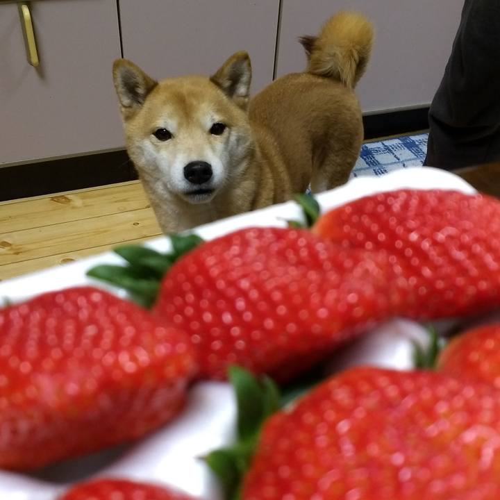 32528be3 879e 4790 938b c914c8e07e28 1548329385943