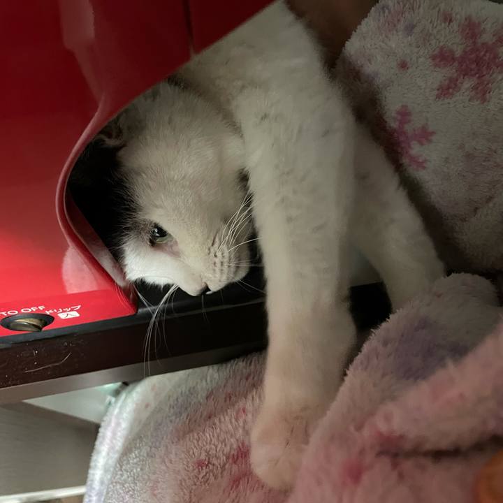 32529cb2 14c0 4bea 8534 c7f5839a929a 1613057210595