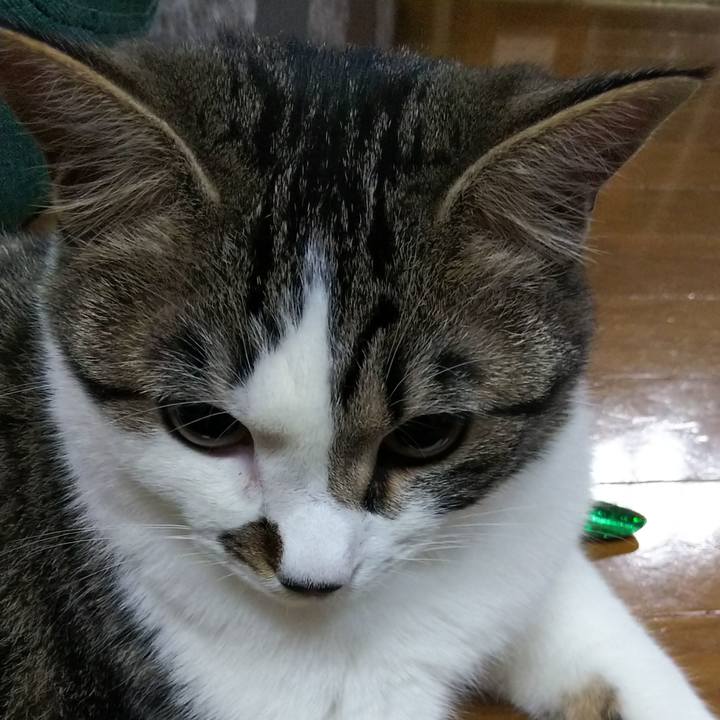 3252afbf f4f6 42b6 ba46 5e41ef3a6e1f 1618400056233