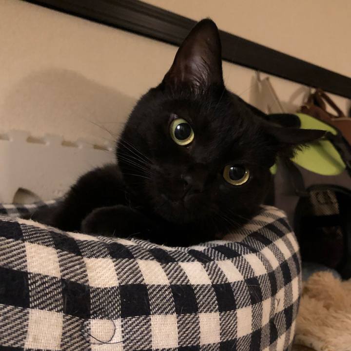 325302a8 be5f 4228 95d9 d5b20d5edf02 1563794257367