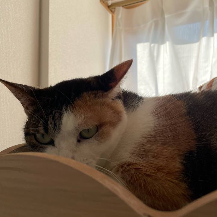 32530d96 c4ea 44b7 8a52 26fd59d2b014 1667449929556