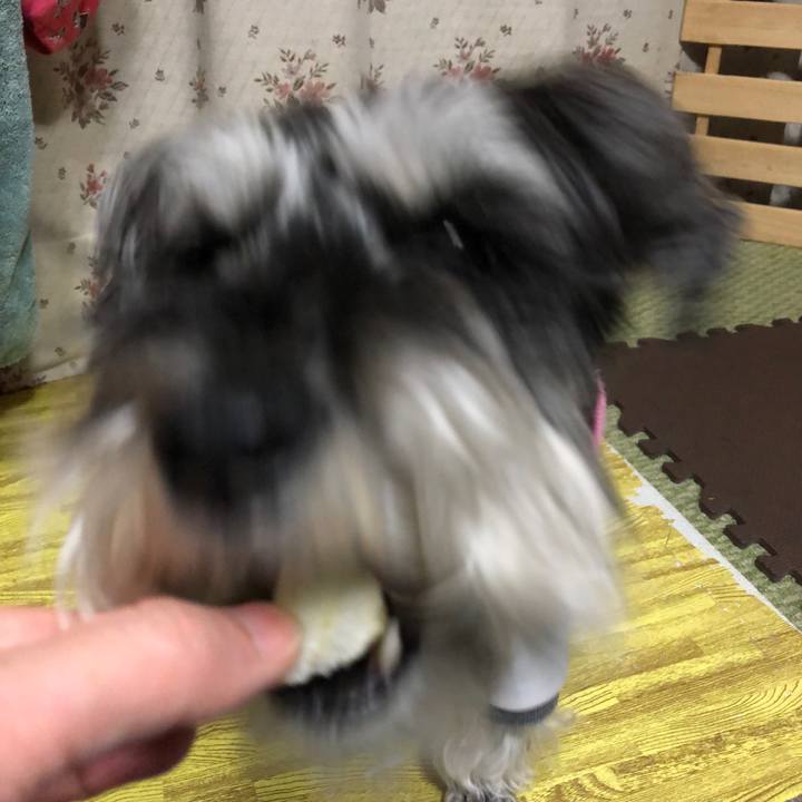 32533239 b045 47fa b7e0 85c3ca50e54f 1680963855926