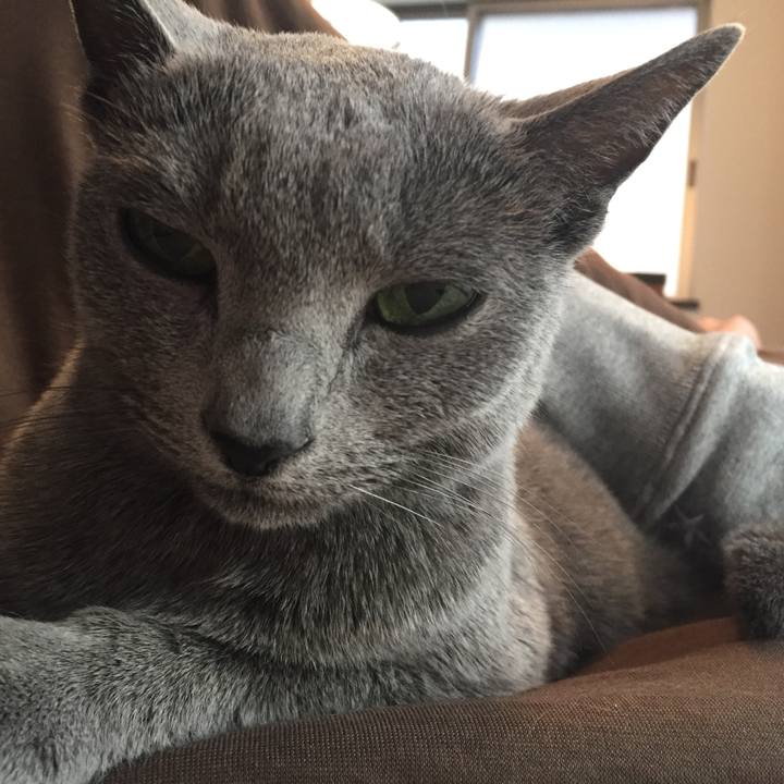 32534d8a 65dc 4964 8e09 29b79834b842 1517785667225