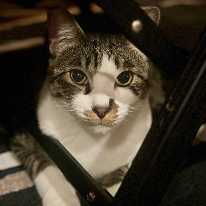 3253687c e262 41b4 8c78 34d568219399 1758369402081