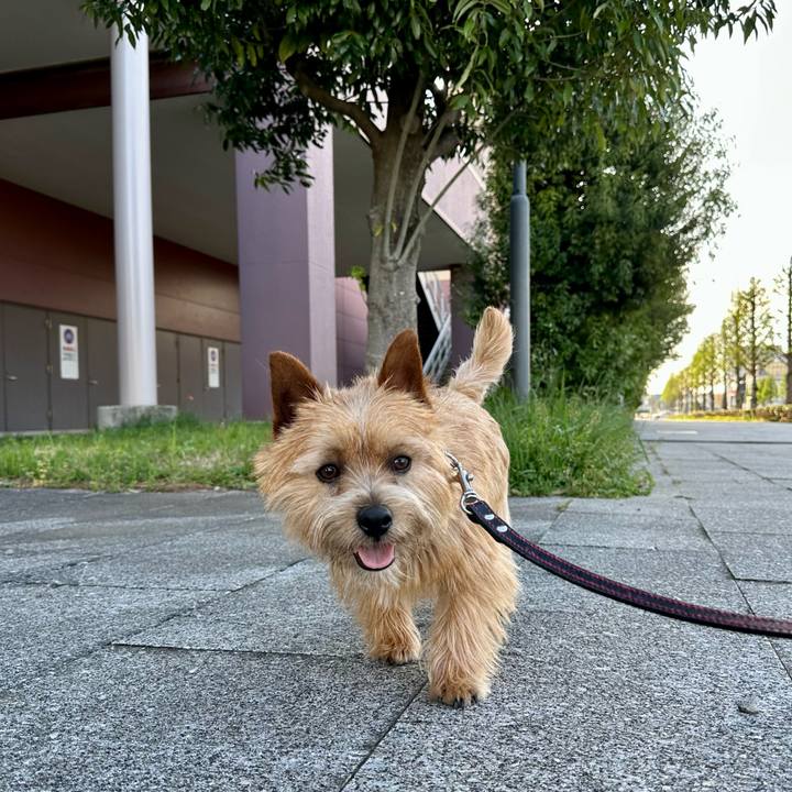 32538204 432b 4840 83db c4723a108479 1745195722451