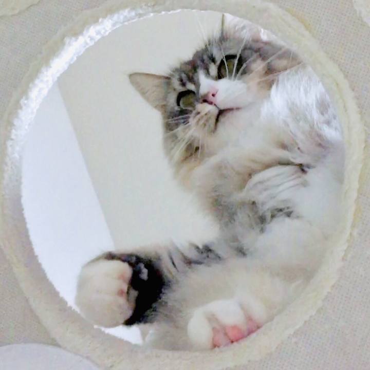 3253a269 4392 4b35 b0fc 5e51ece35cdf 1572404299102