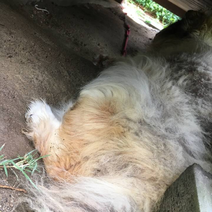 3253a84a 7acc 4619 83d2 f47e14b25f1a 1597135304308