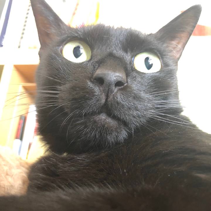 3253af68 b0c1 4d4c 98a2 ff90f8a9668f 1531530841353