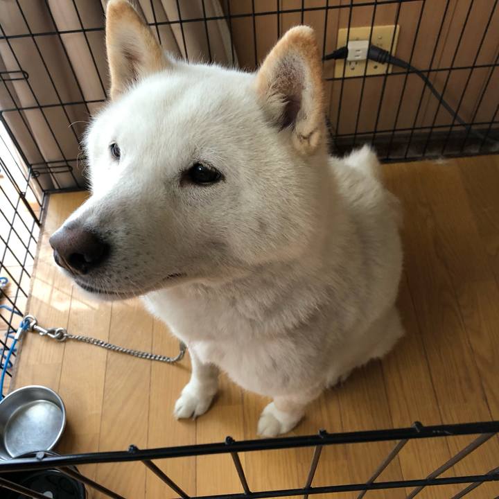 3253f85b c081 493c ab1e a37fa334ce06 1556674566983