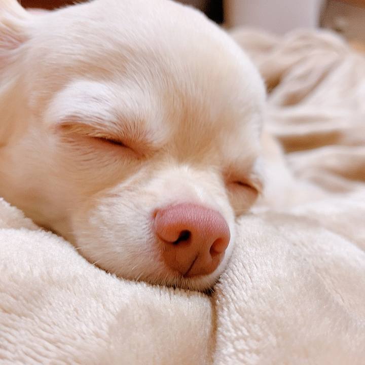 3254278e 1bbb 4621 938a 387b6091121e 1623932287743