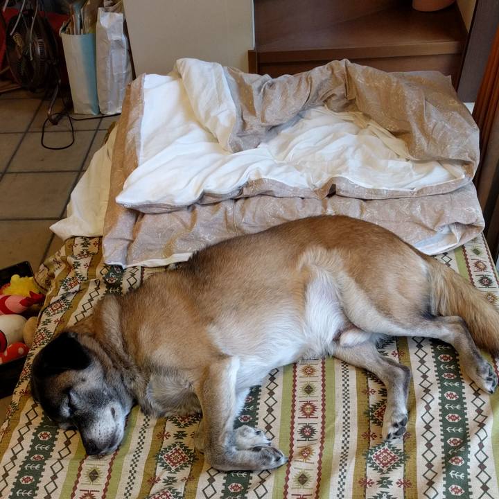 32548741 3bb5 42a5 8a6d 977abcd84265 1508478910450