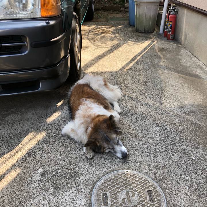 325496fc abf2 4ac8 b5e8 af32e300b69a 1521000624725